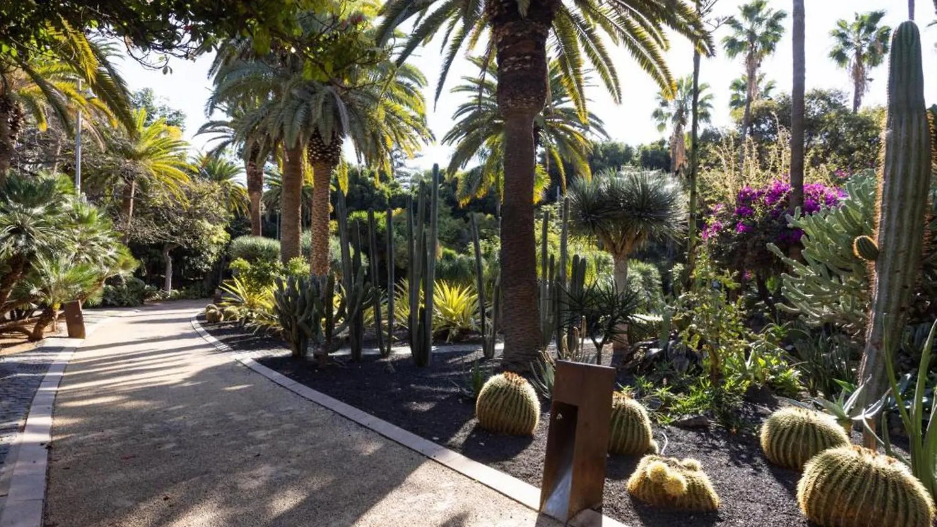 Live Santa Cruz Guigou Apartment